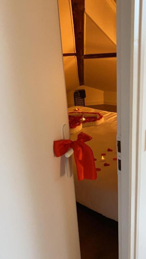Couttet Champion Romantique Proche Gare Annecy Dış mekan fotoğraf